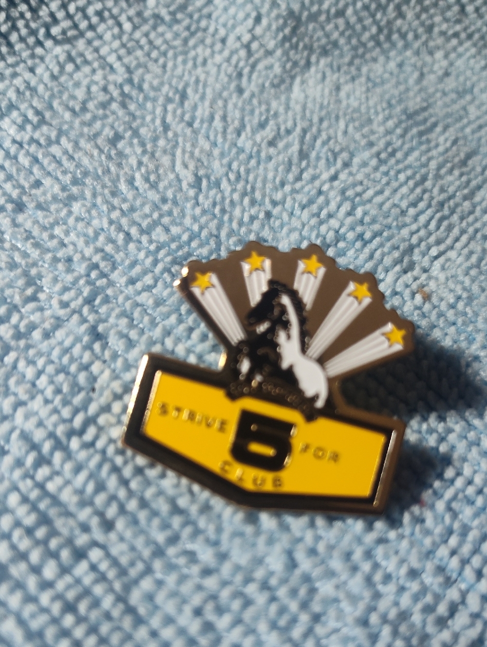 Dixie stampede strive 5 for club pin